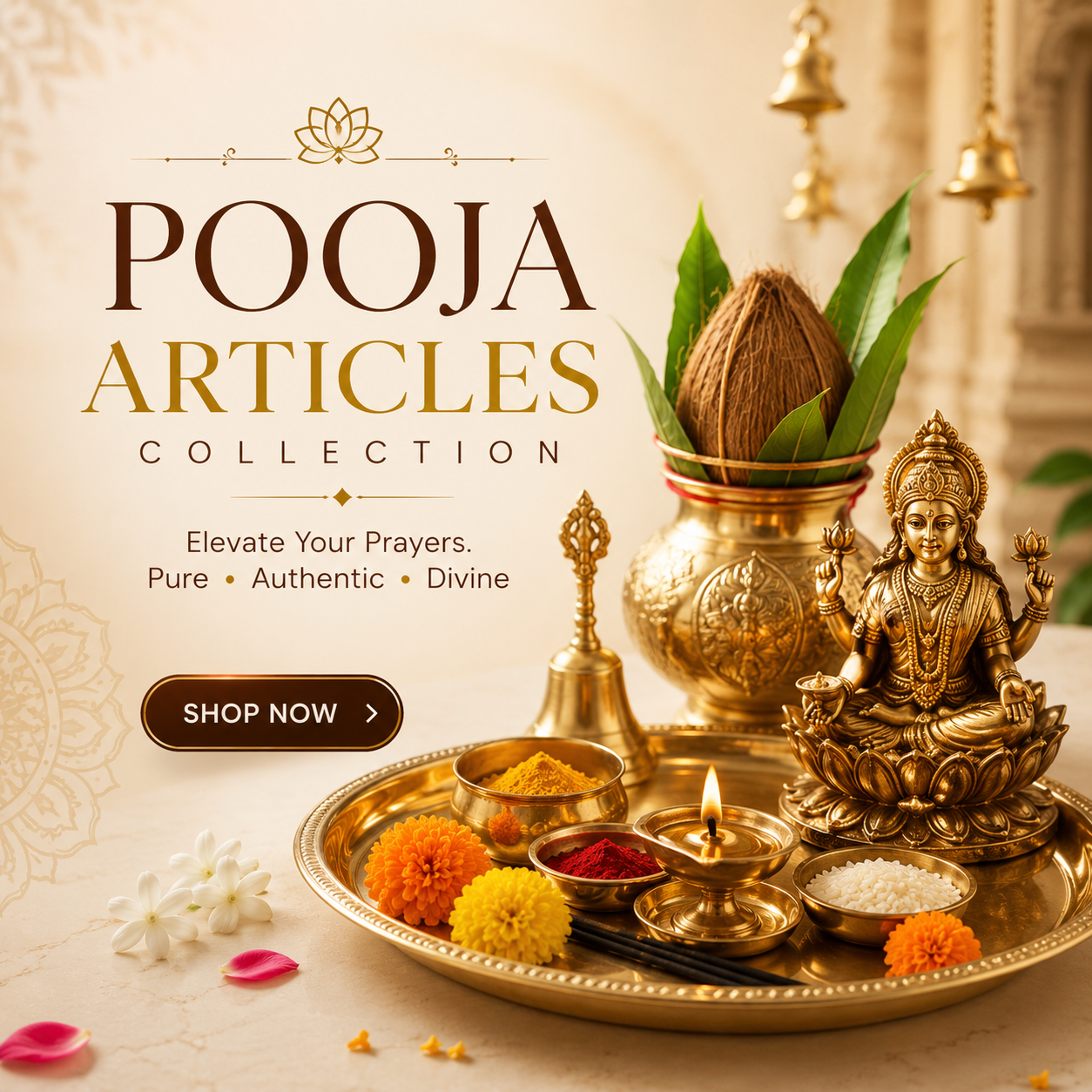 Pooja Articles